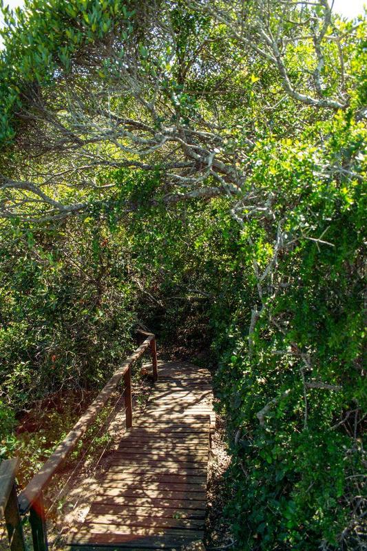 0 Bedroom Property for Sale in Moquini Western Cape